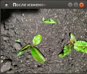 Уменьшенное изображения