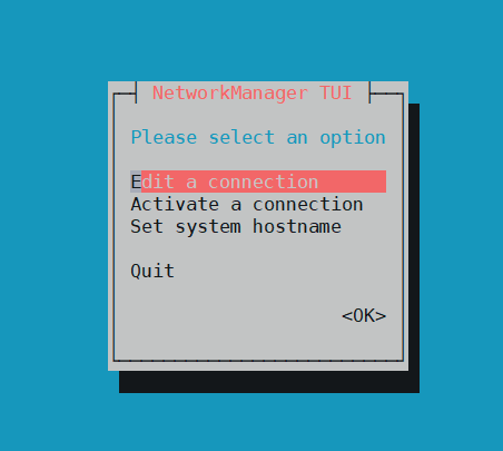 Рис. 4.3. Окно утилиты nmtui