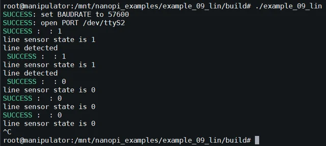 Рис. 6.9. Пример выполнения проекта «example_09_lin»